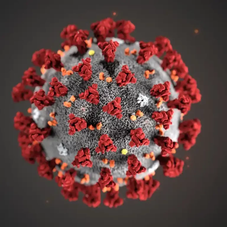 Coronavirus Dark 1200x800 1 Copy